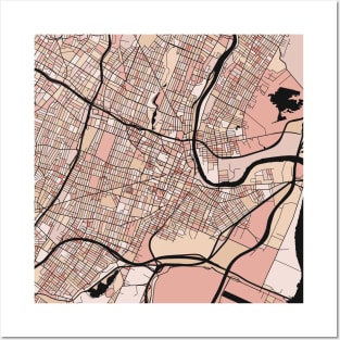 Newark Map Pattern in Soft Pink Pastels Posters and Art